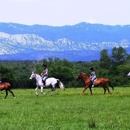Apartman Sunrise 2, - Otok Krk Polje